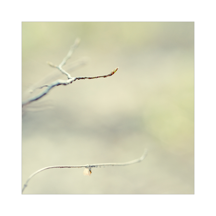 frühling
