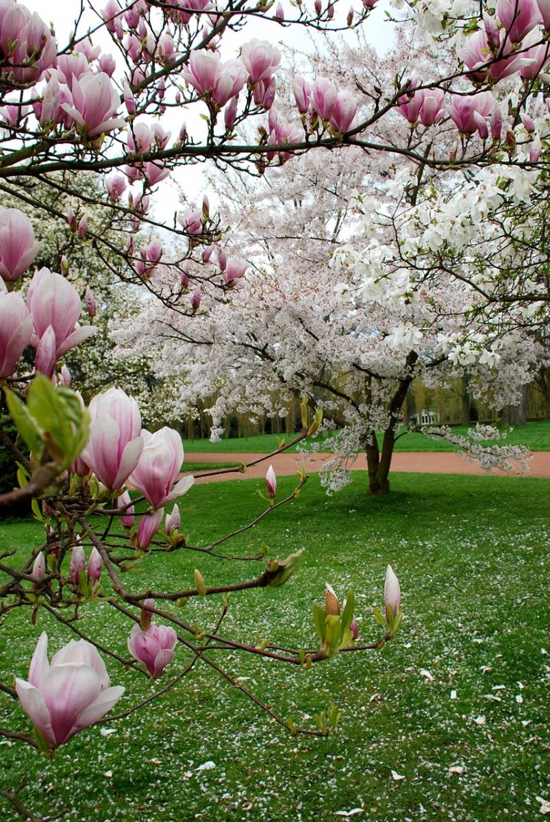 Frühling