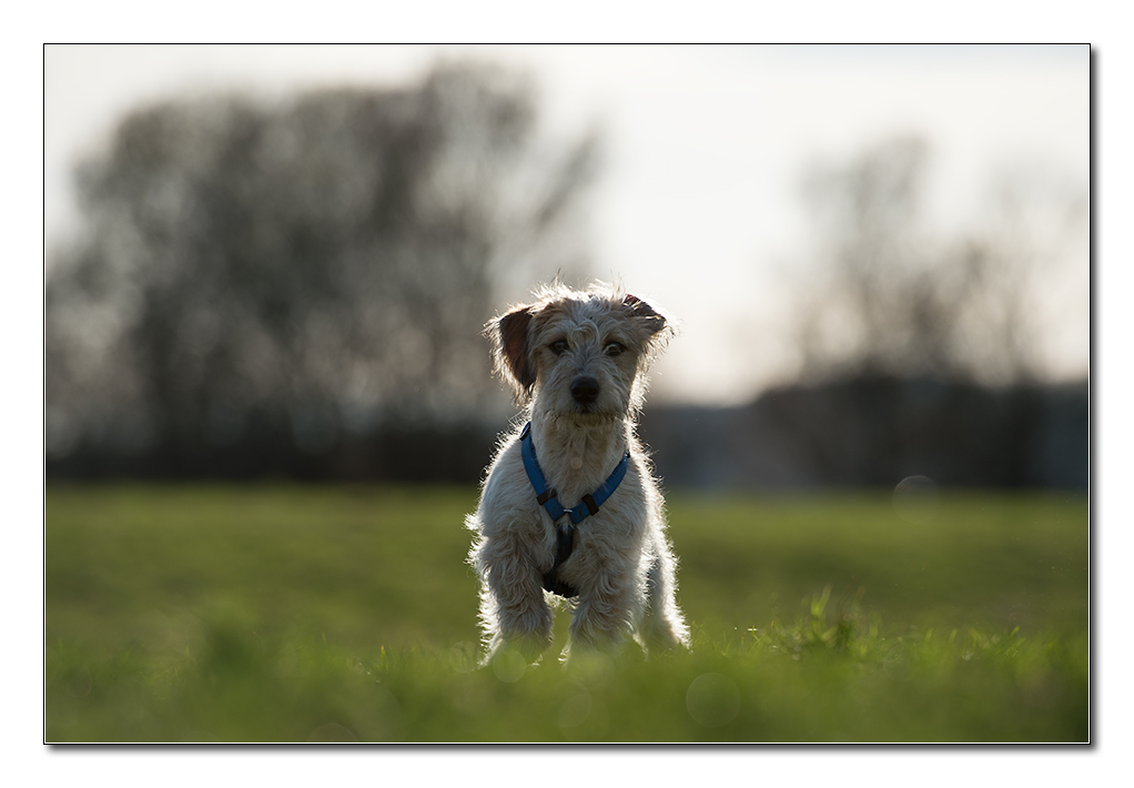 frühling2
