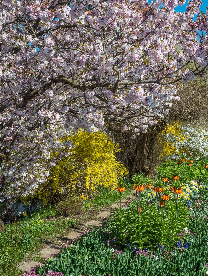 Frühlingsbeginn
