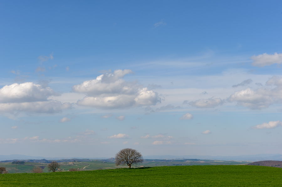 Frühlingsluft