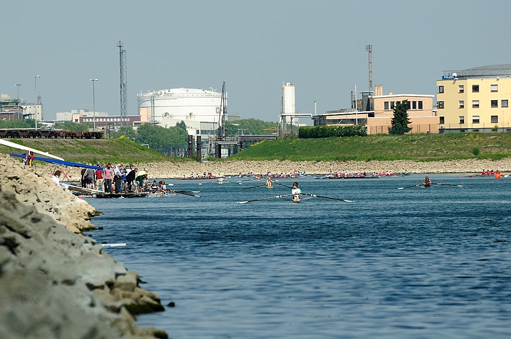 Frühregatta in Mannheim