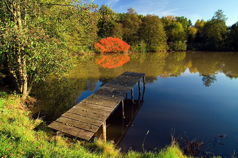 Fraenkischer Fischteich