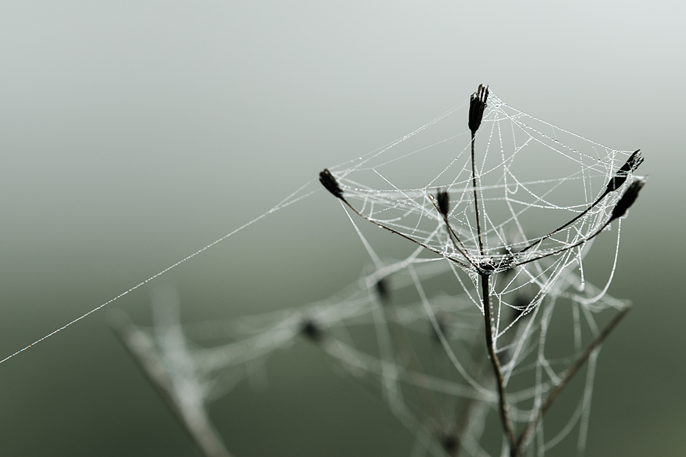Fragile