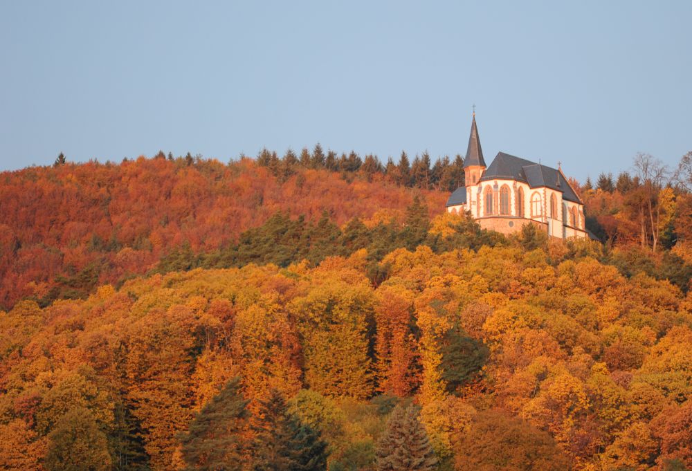 Frankweiler 050DSC 3289 006