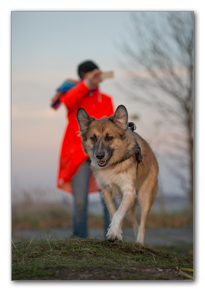 frau und hund