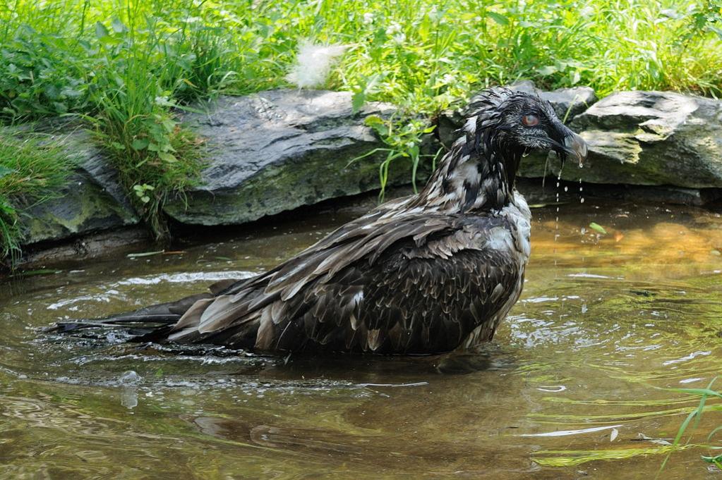 Freitagabend wird gebadet ...