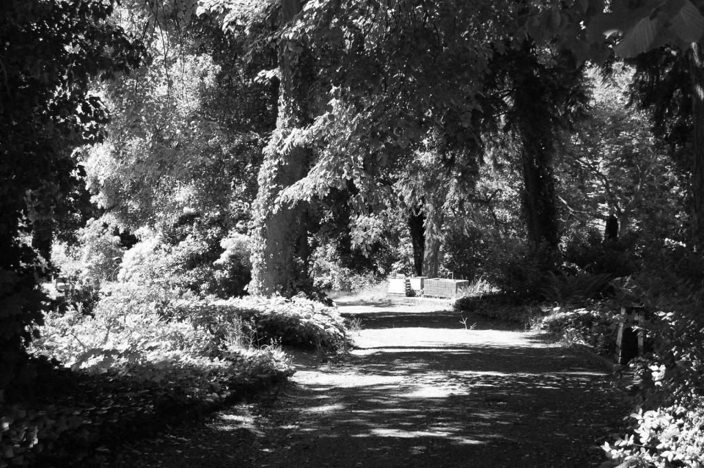 Friedhof Sankt Johann