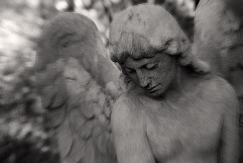Friedhof St Marx 001kl