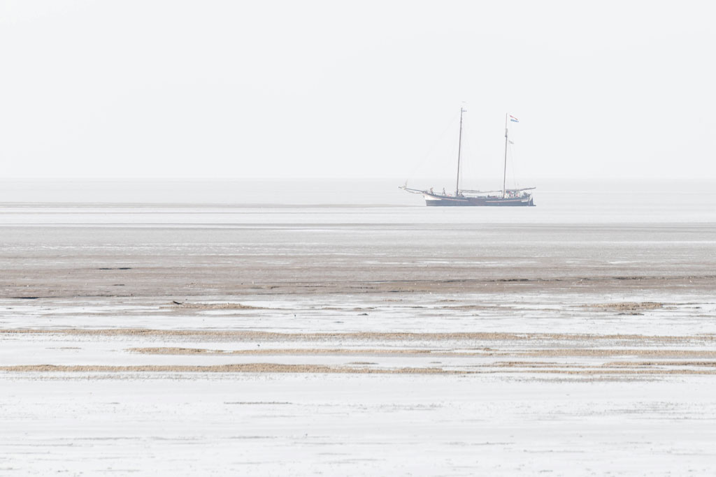 friesland 11