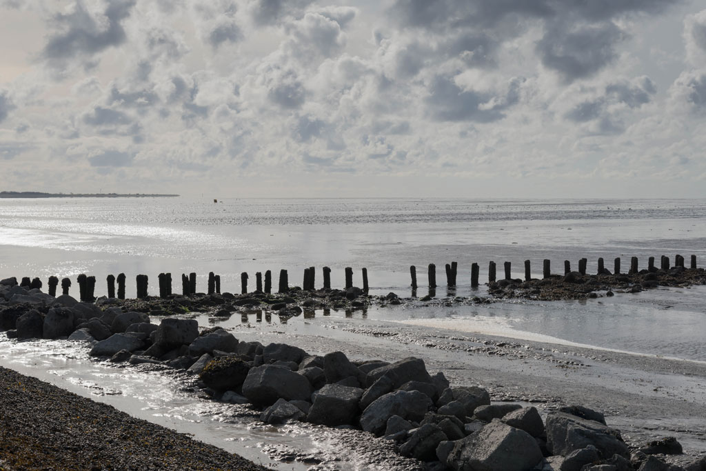friesland 12