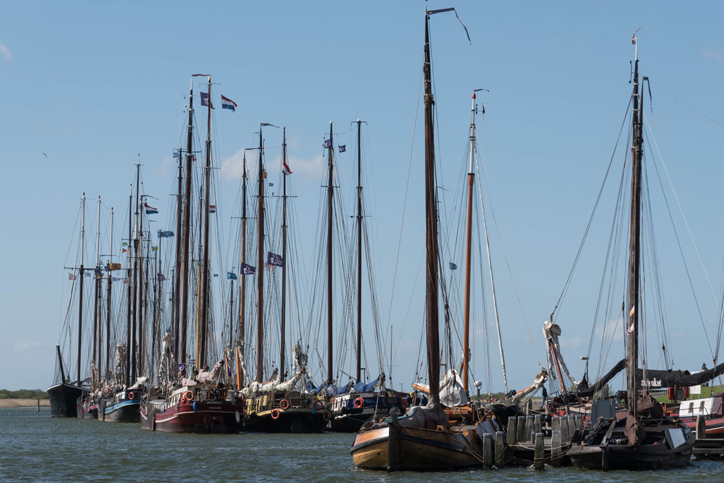 friesland 13