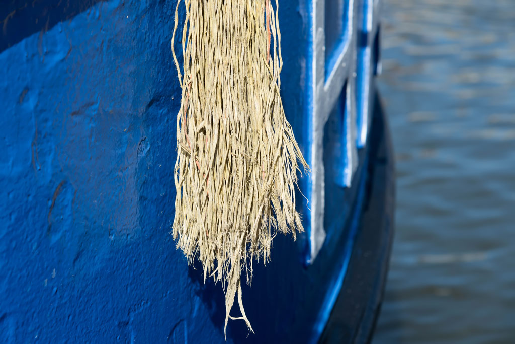 friesland 15