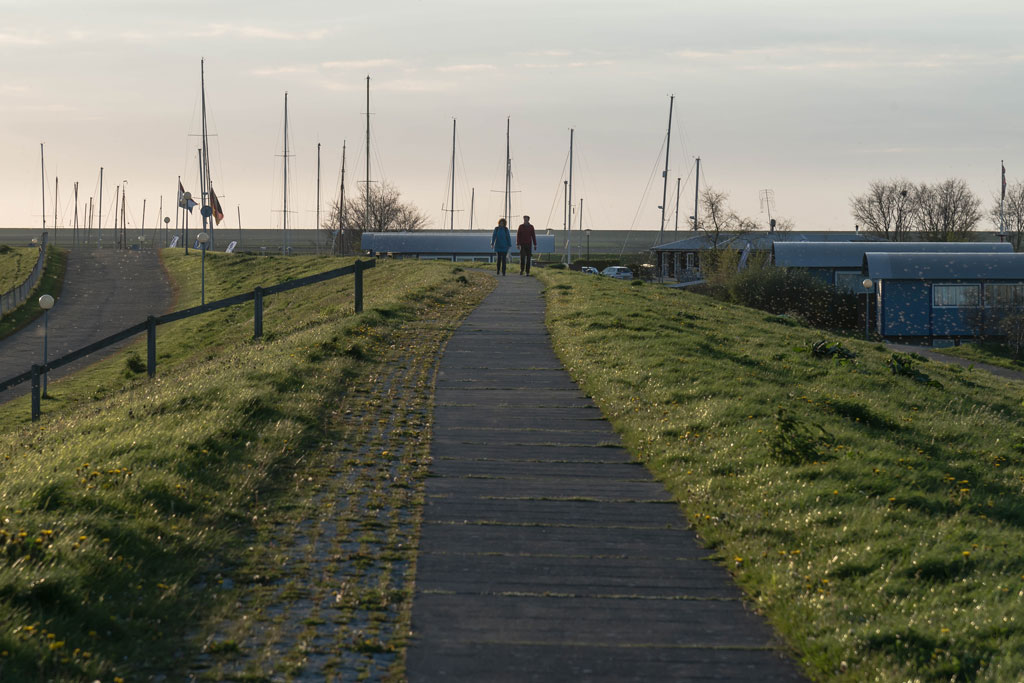 friesland 30