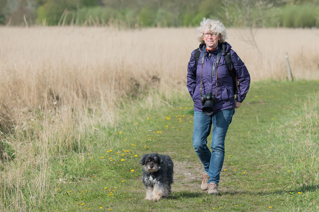 friesland 4