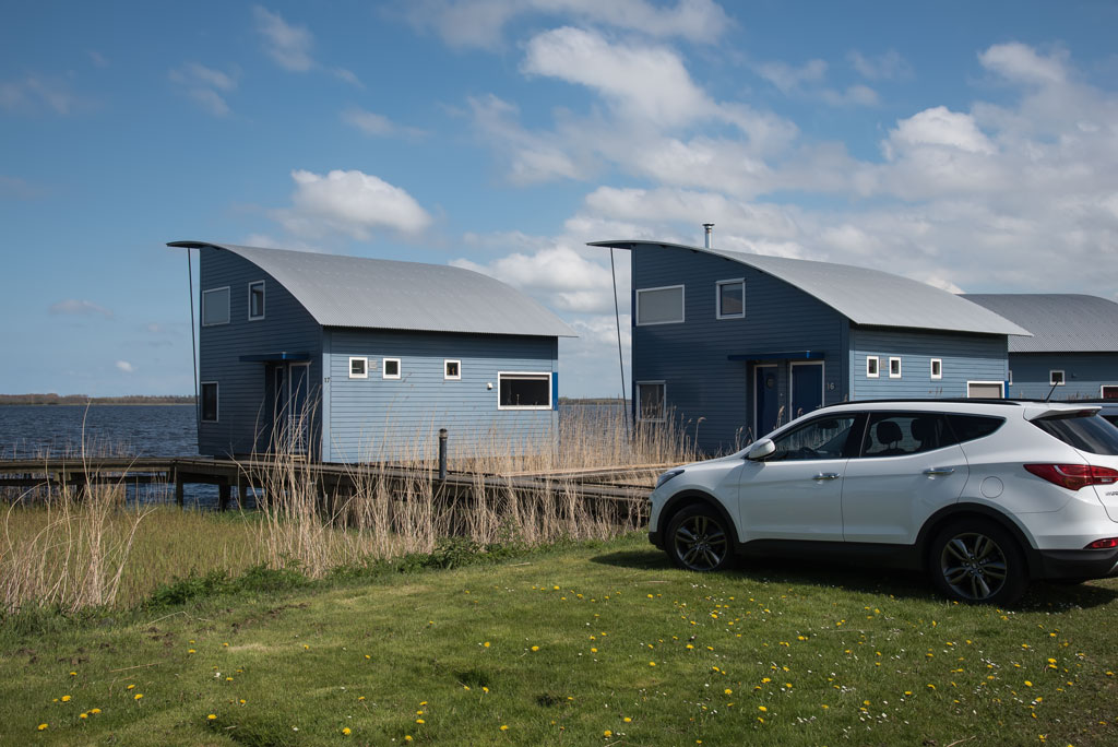 friesland fhaus 1