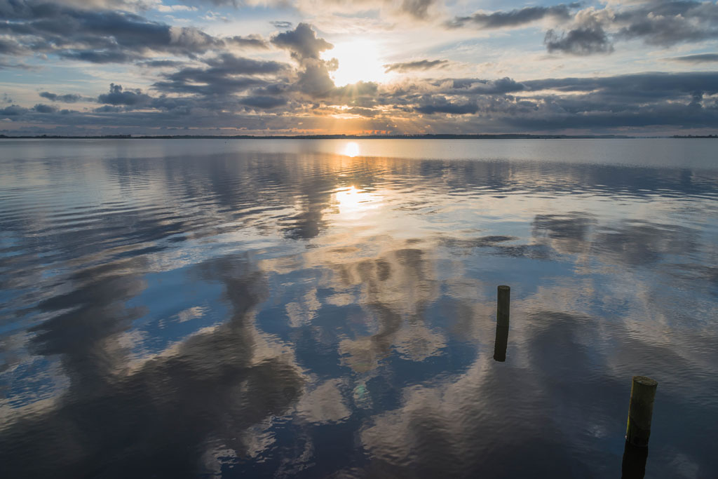 friesland fhaus 2