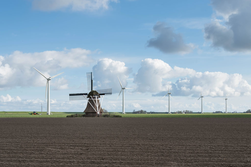friesland wm 1
