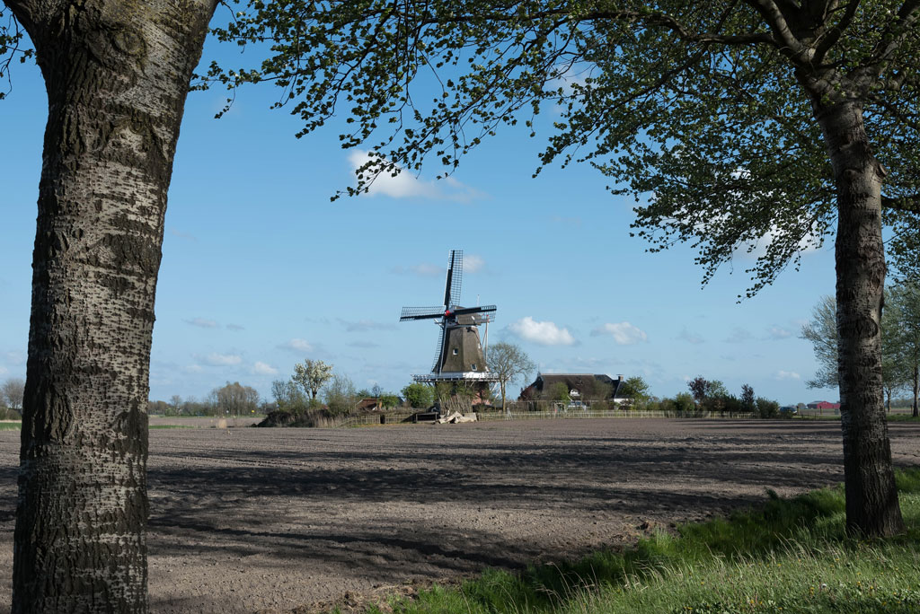 friesland wm 3