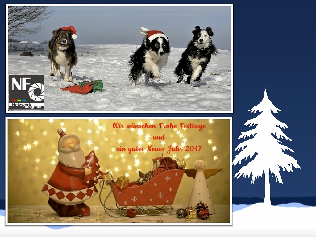 Frohe Festtage 2016
