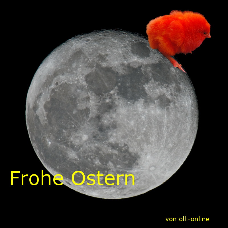 frohe  Ostern
