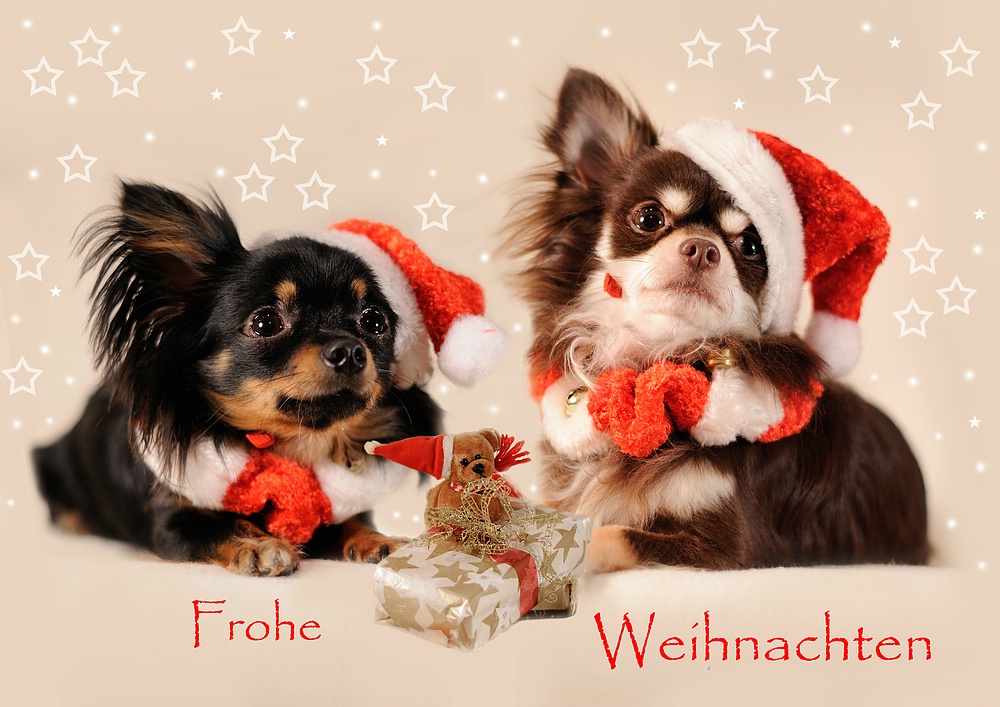 Frohe Weihnachten