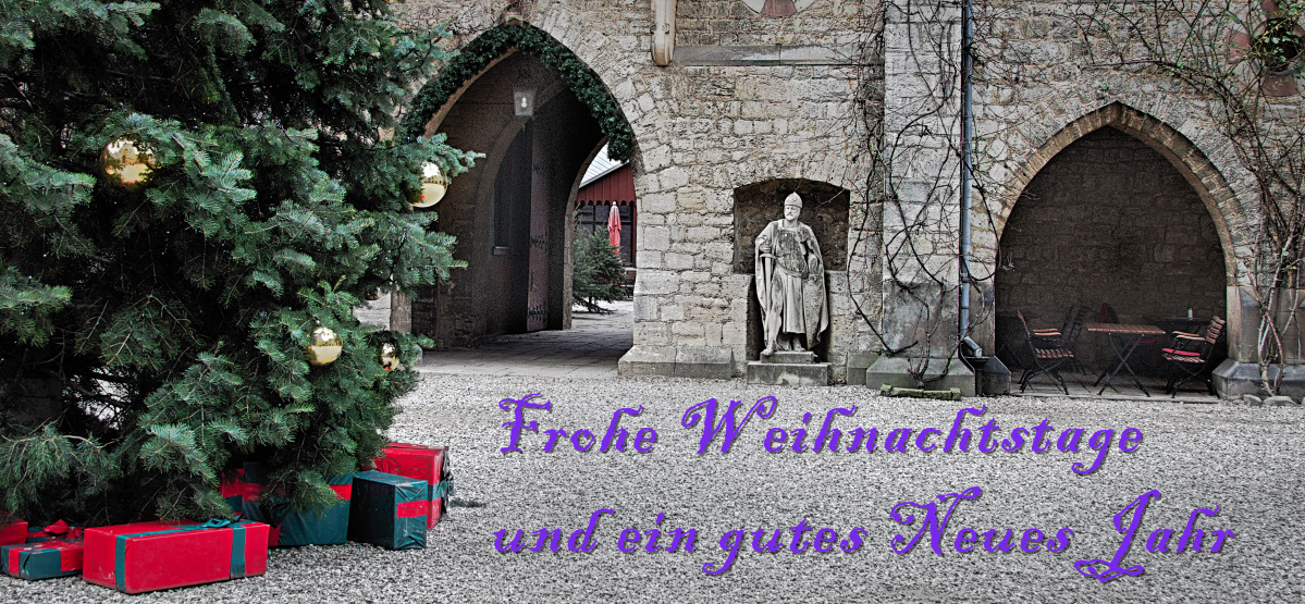 Frohe Weihnachtstage....jpg