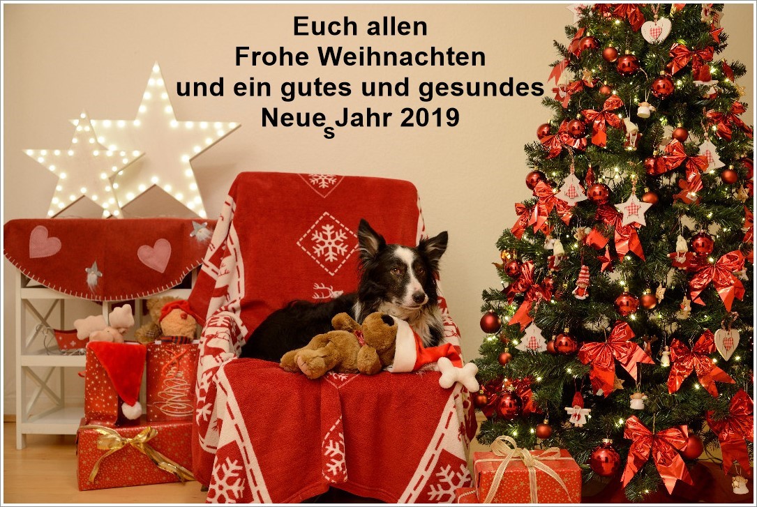 frohes fest facebook