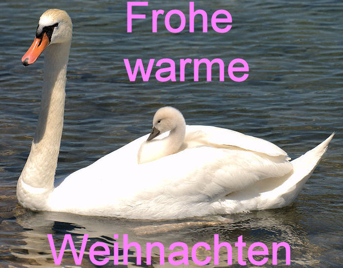 FroheWeihnachten