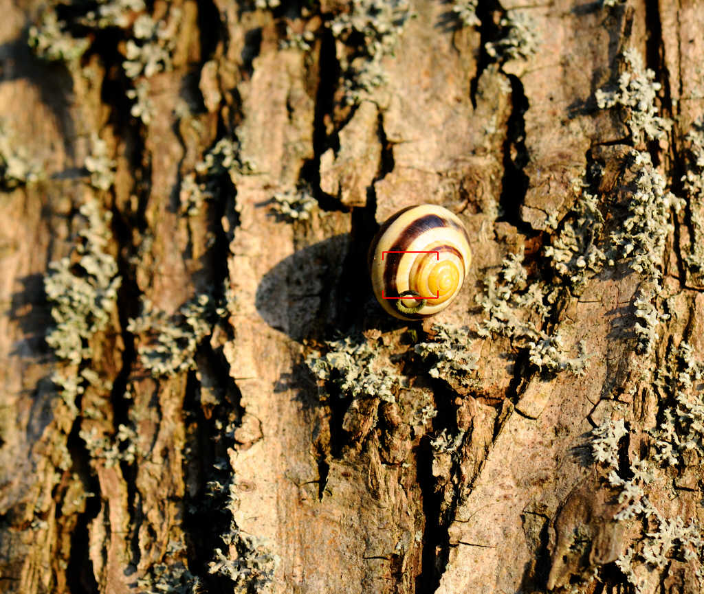 Frontfokus?