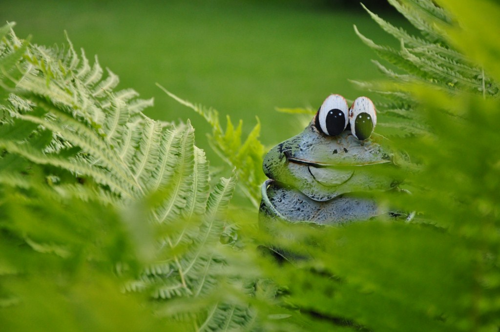 frosch 001 [1024x768]