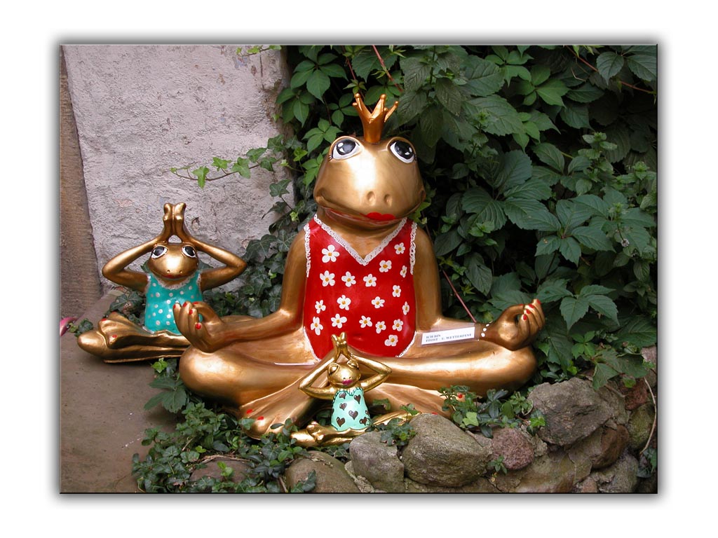 frosch meditation