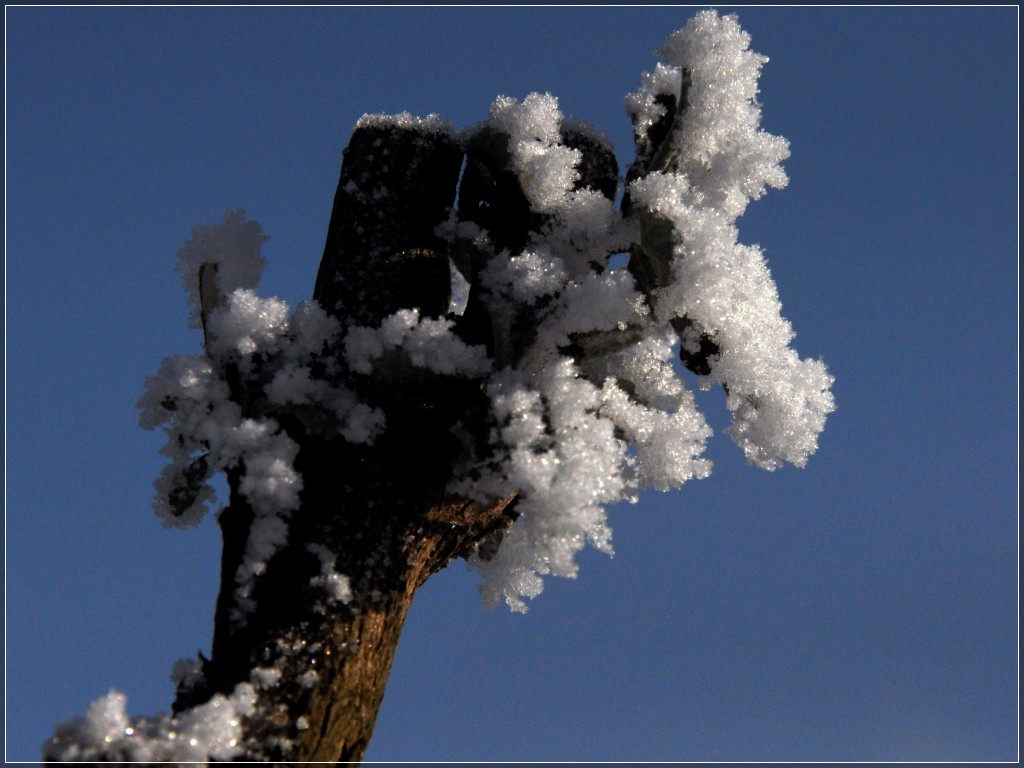 frost00002