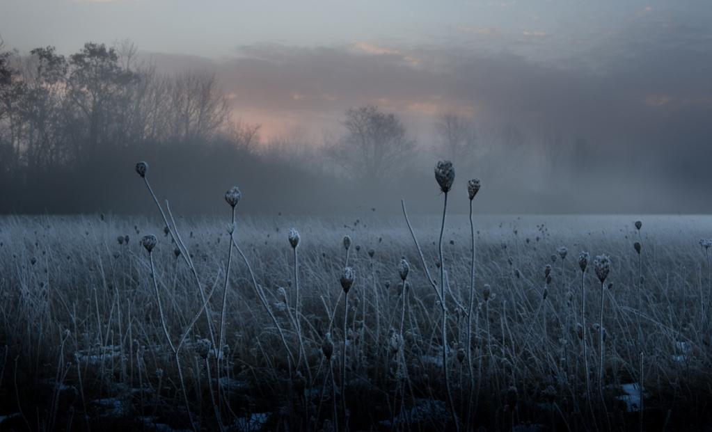 Frostiger Morgen