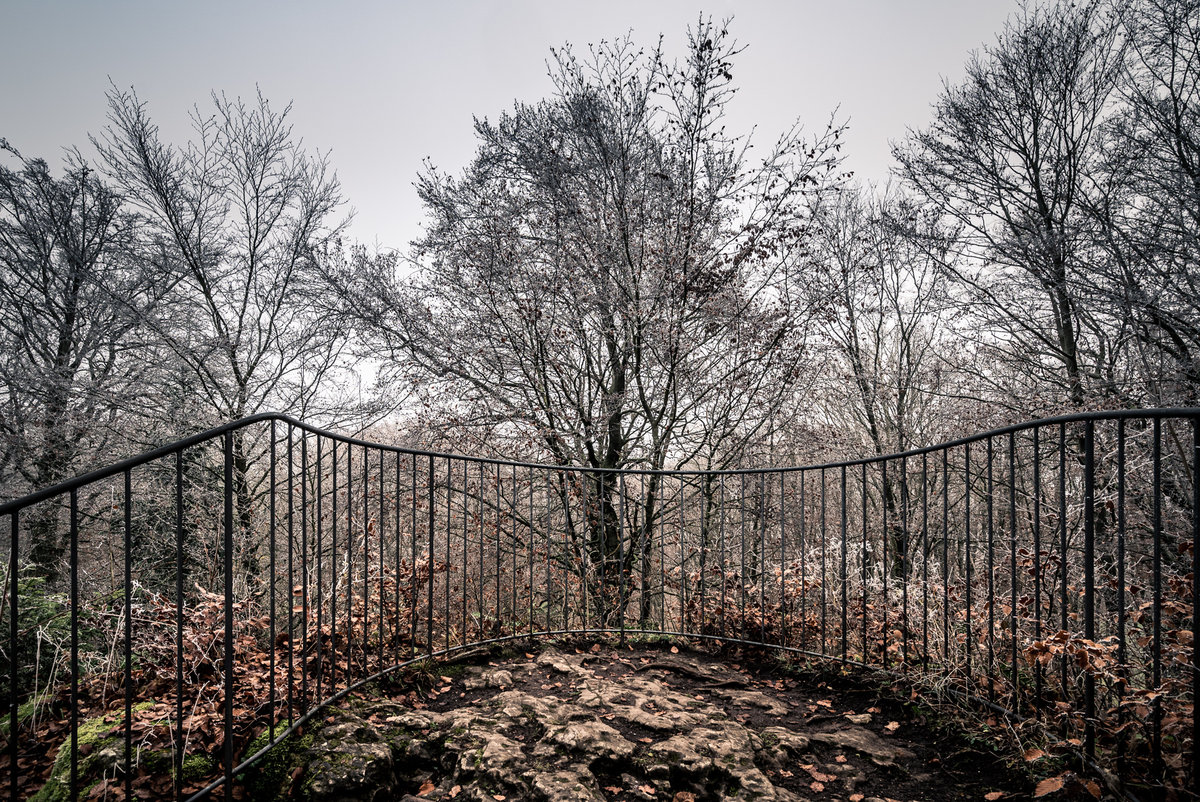 Frosty View