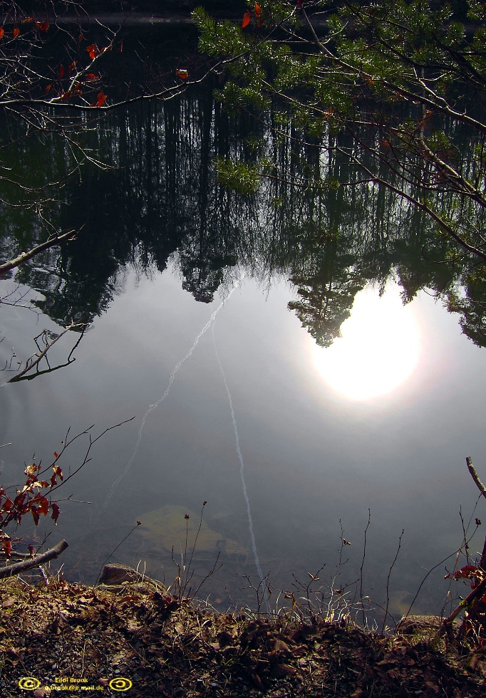 FT0011 Sonne im Morgendunst