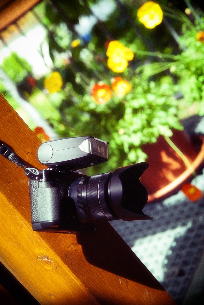 fuji DSC 5886