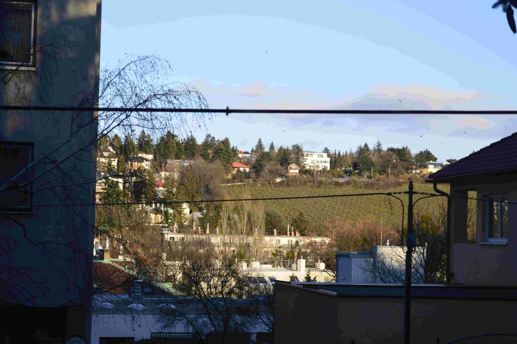 Fuji JPGComp auf 240kb