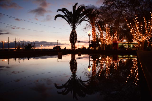 Funchal Christmas at Harbour