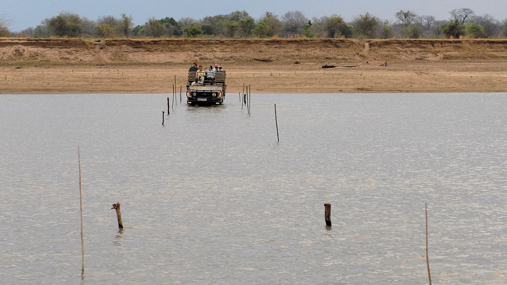 Furt im Luangwa River
3055