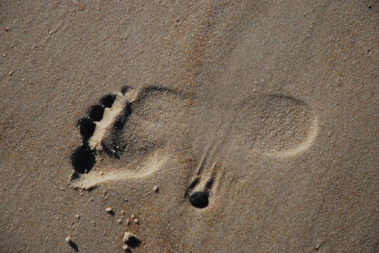 Fussabdruck im Sand