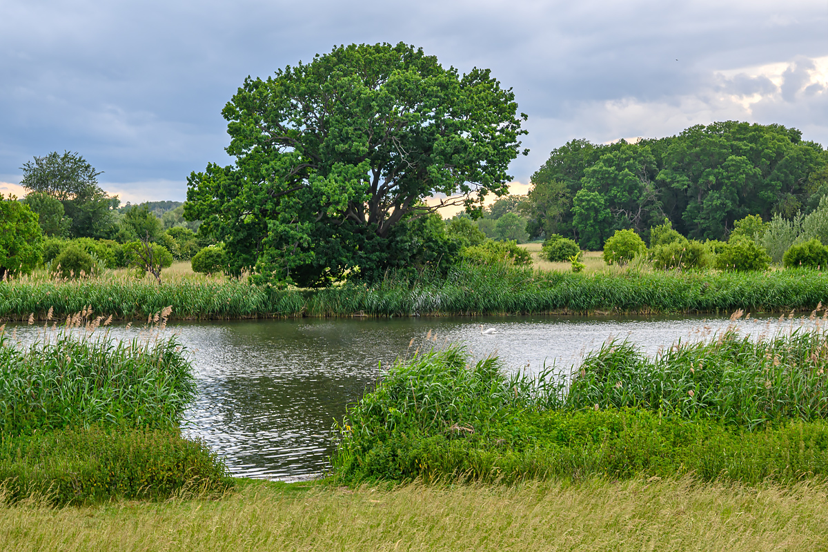 FZ_00991.jpg