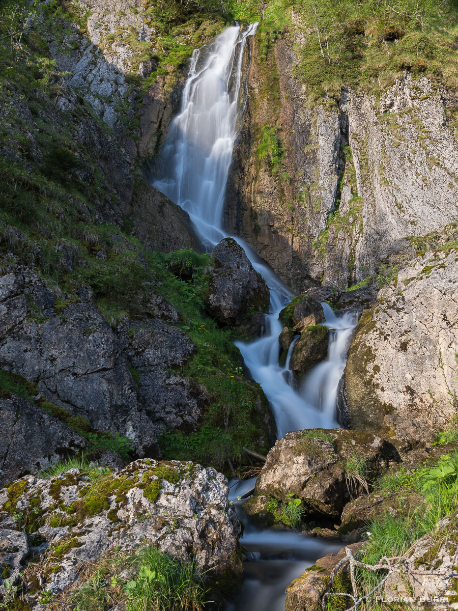 Gürbefall1