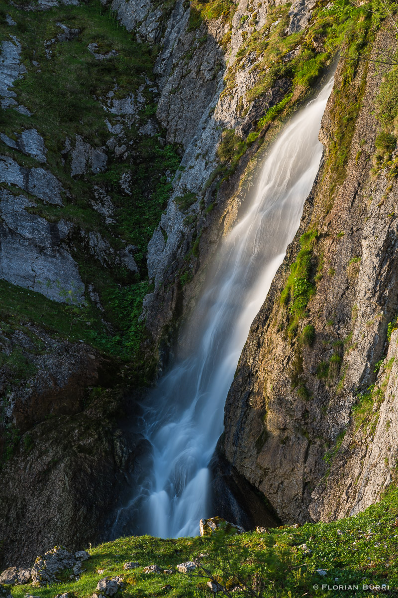 Gürbefall2