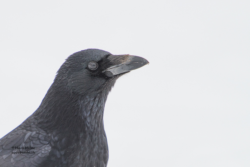 G01 0200
