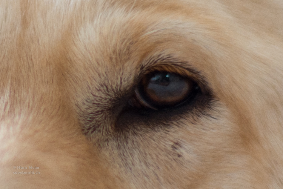G02 3098 crop