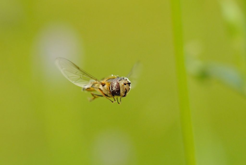 g8