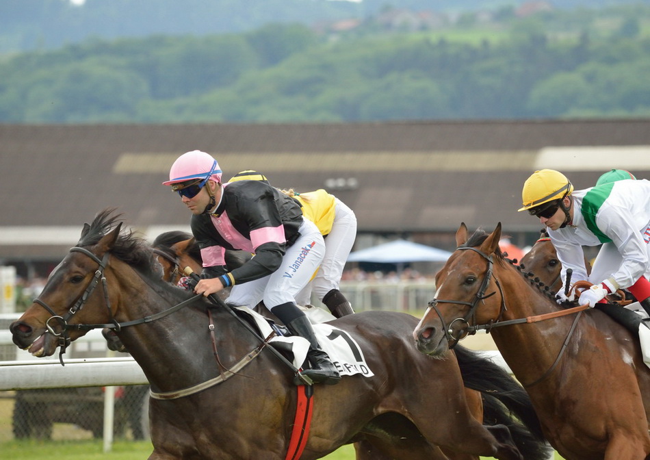 G80 5119x