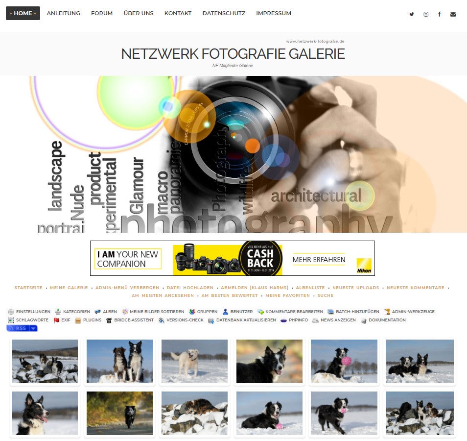 galerie release