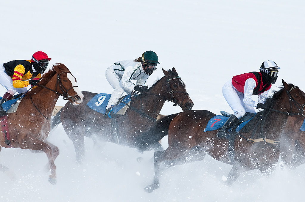 Gallopprennen im Schneespray